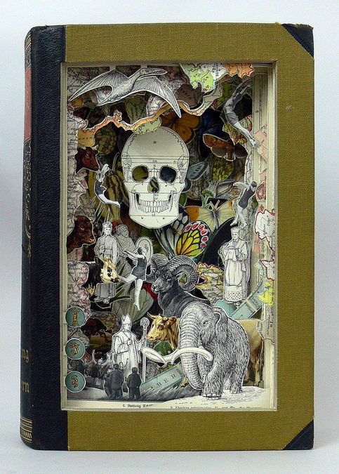 243959_day-of-the-dead