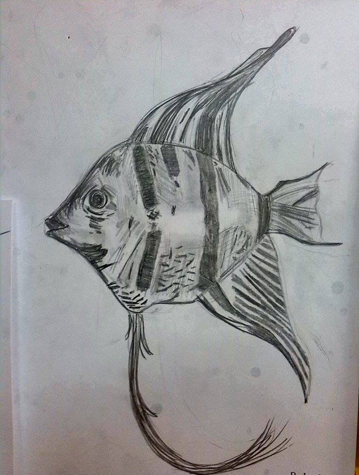 10370637_634879136602094_1441459347_n