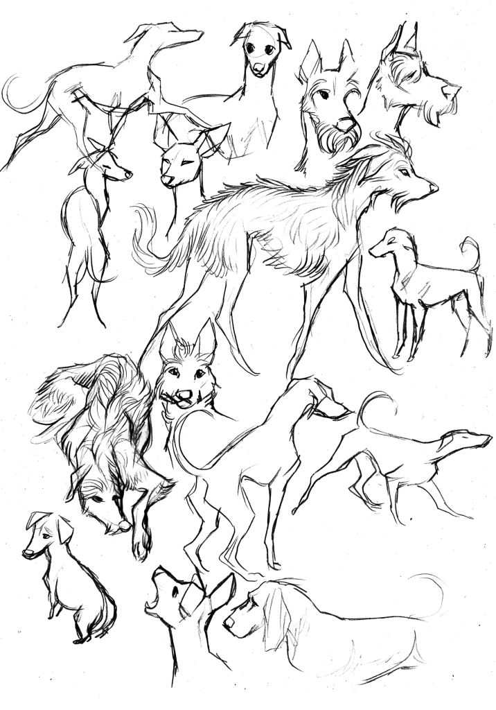 canisalbus