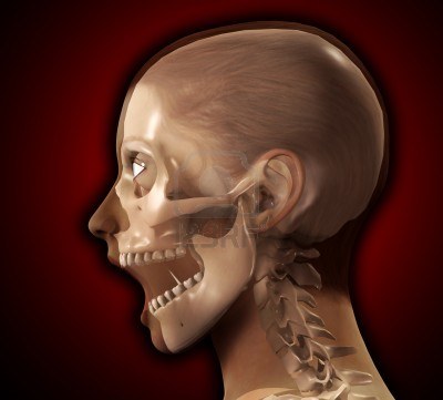 tumblr_n62egxpfc51twkucxo3_400