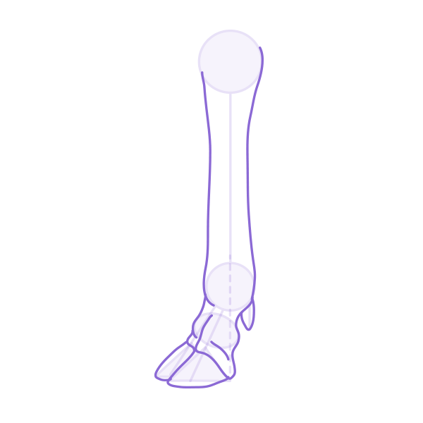 drawingdeer-3-5-deer-hoof