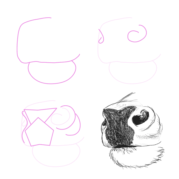drawingdeer-5-2-deer-nose