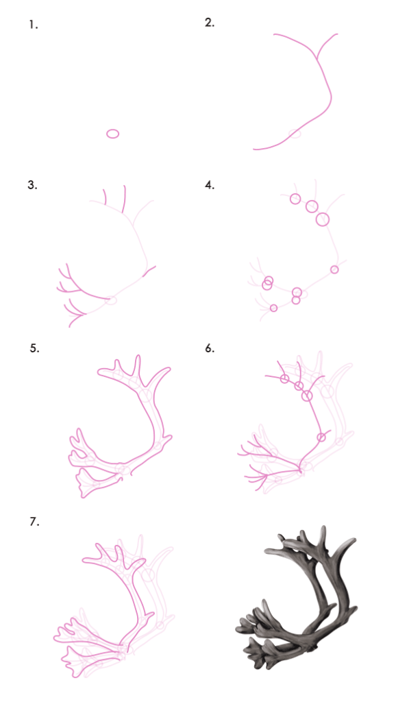 drawingdeer-7-2-reindeer-antlers