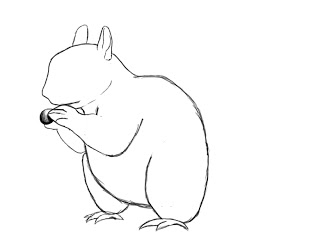 Draw Squirrel (6)