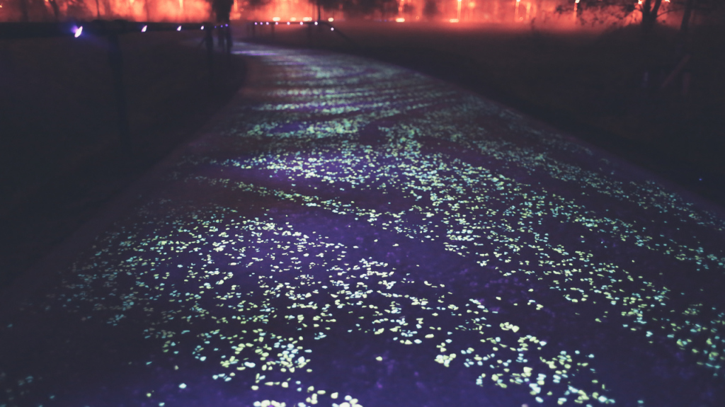 Van Gogh-Roosegaarde Bicycle Path