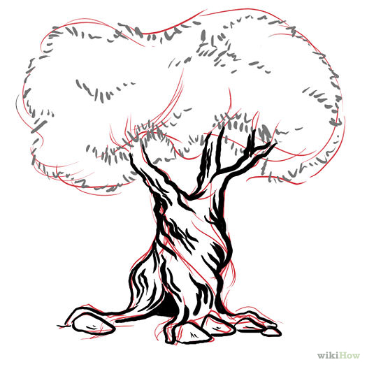 525px-Bark-Step-5