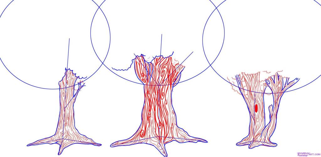 how_to_draw_a_tree_trunk_step_by_step
