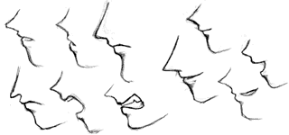 nose1e
