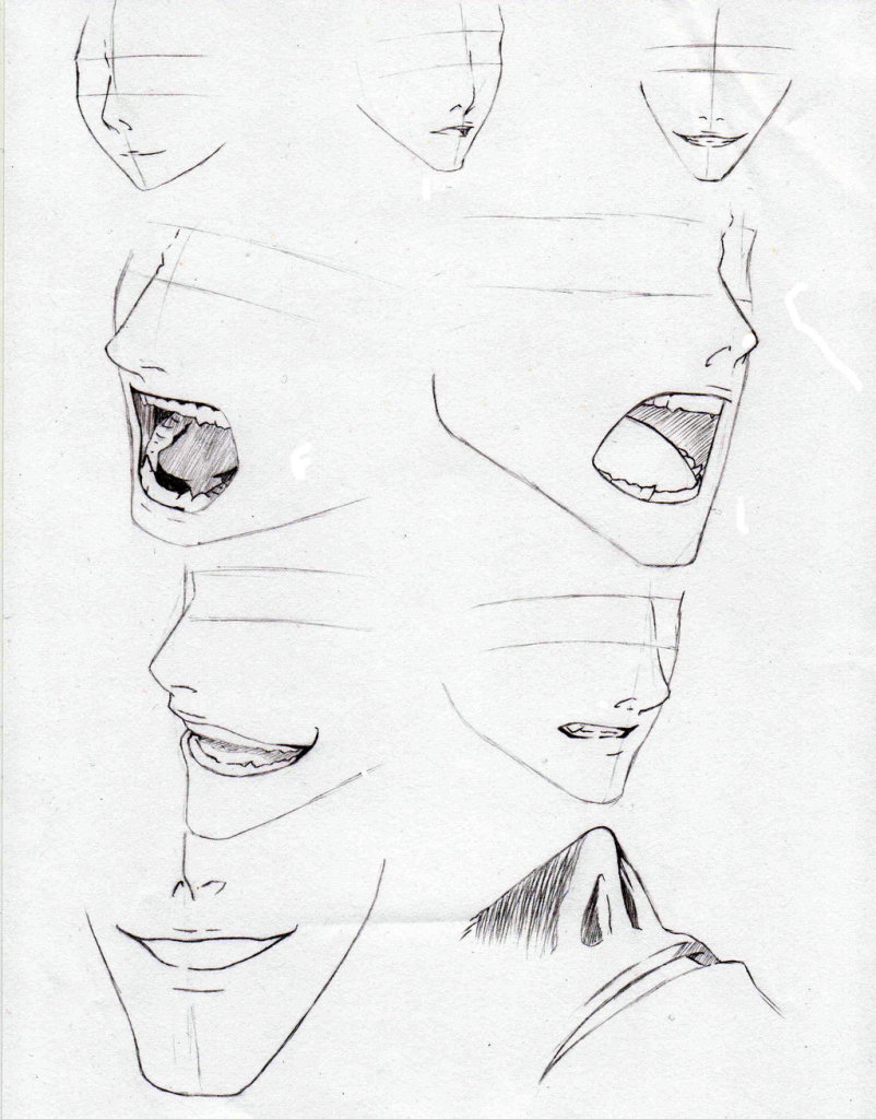 nose_and_mouth_reference_by_frankenstec-d38cena