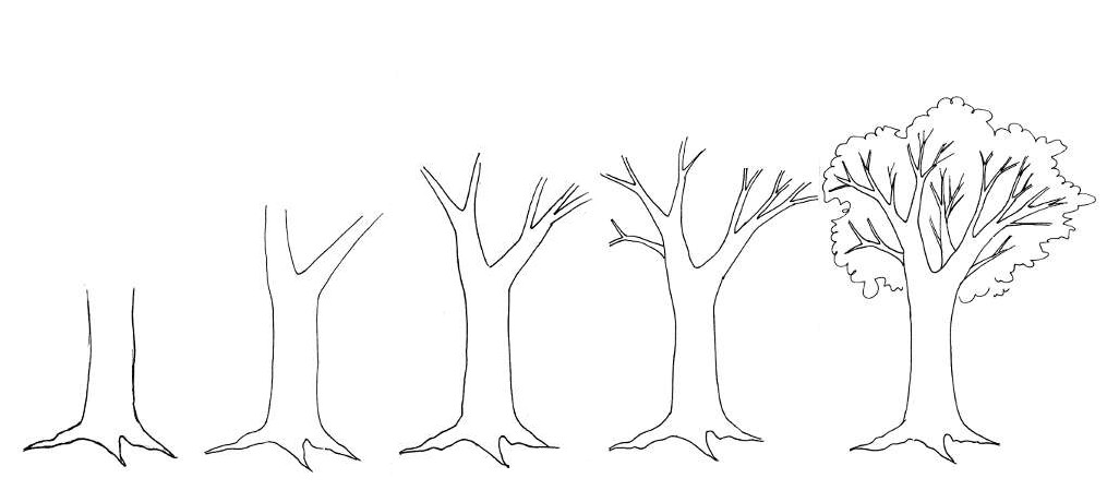 streettutorialtree