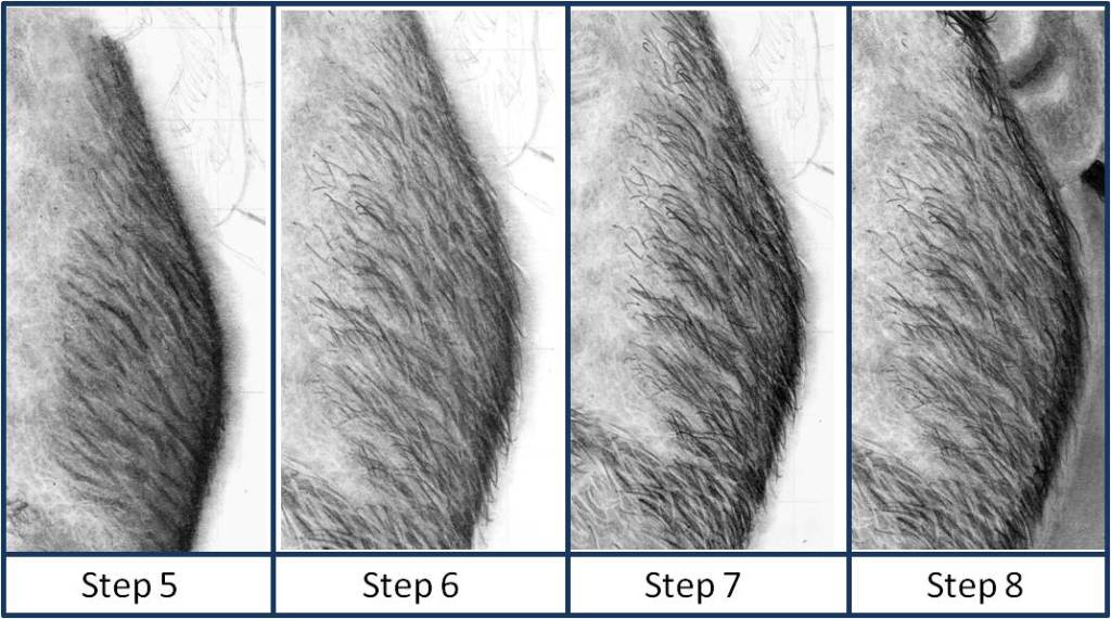beard_step_5_to_8_by_paul_shanghai-d6t3qzc